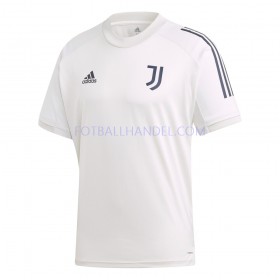 Herre Juventus Trenings skjorter 2020-21 Kortermet M001